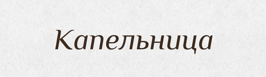 Капельница — Російсько-український академічний словник (А–П)