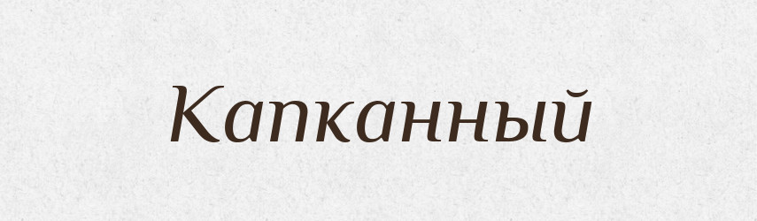Капканный — Російсько-український академічний словник (А–П)
