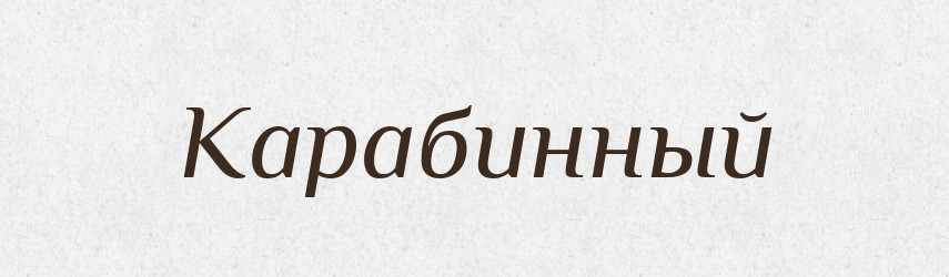 Карабинный — Російсько-український академічний словник (А–П)