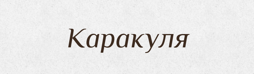 Каракуля — Російсько-український академічний словник (А–П)