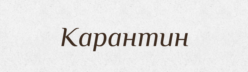 Карантин — Російсько-український академічний словник (А–П)