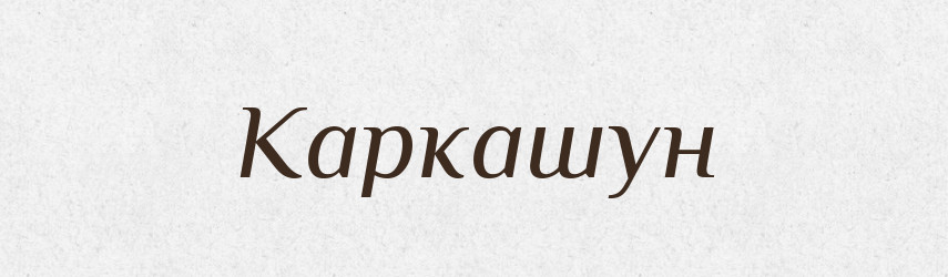 Каркашун — Російсько-український академічний словник (А–П)