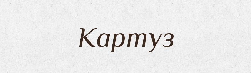 Картуз — Російсько-український академічний словник (А–П)