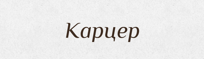 Карцер — Російсько-український академічний словник (А–П)