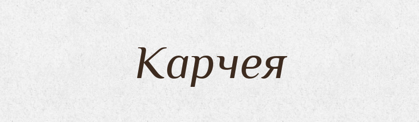 Карчея — Російсько-український академічний словник (А–П)