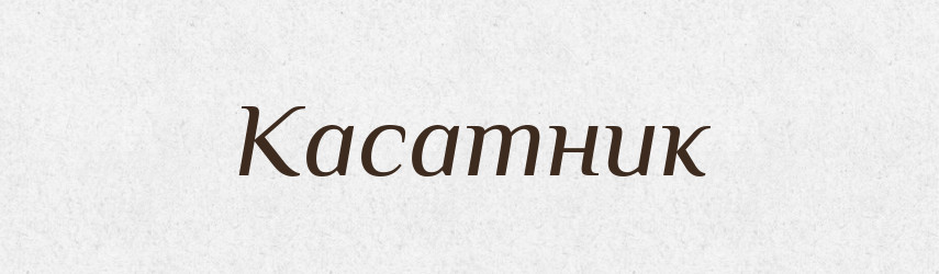 Касатник — Російсько-український академічний словник (А–П)