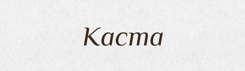 Каста — Російсько-український академічний словник (А–П)