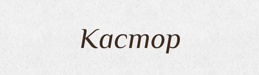 Кастор — Російсько-український академічний словник (А–П)