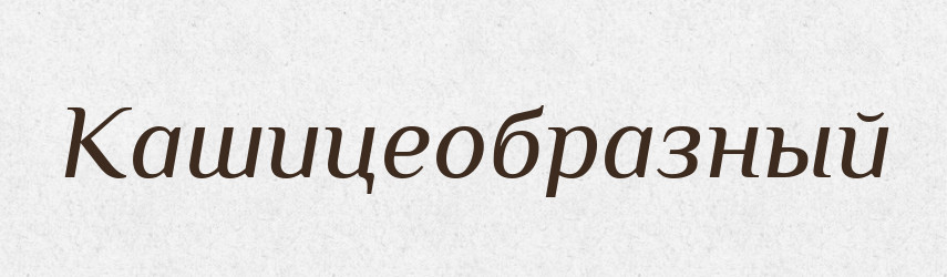 Кашицеобразный — Російсько-український академічний словник (А–П)