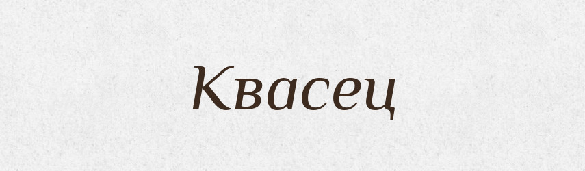 Квасец — Російсько-український академічний словник (А–П)