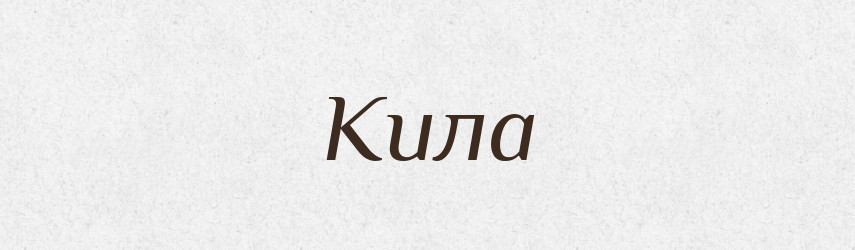 Кила — Російсько-український академічний словник (А–П)