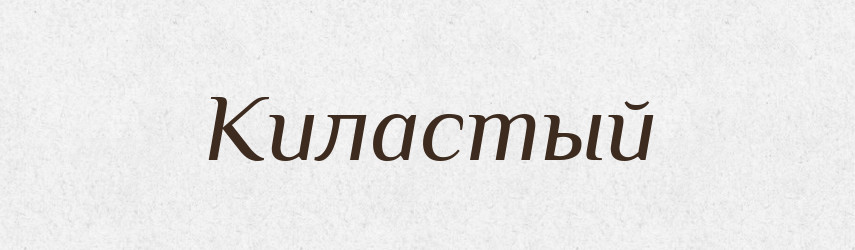 Киластый — Російсько-український академічний словник (А–П)