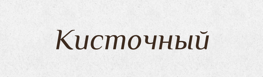Кисточный — Російсько-український академічний словник (А–П)