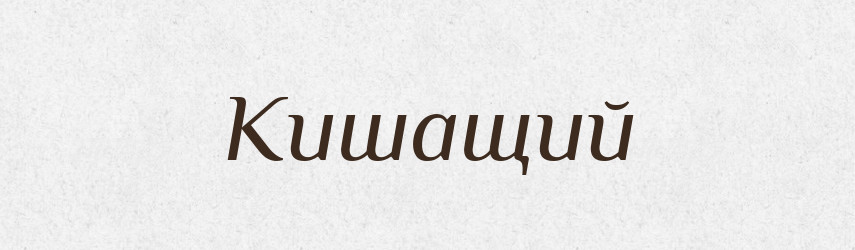 Кишащий — Російсько-український академічний словник (А–П)