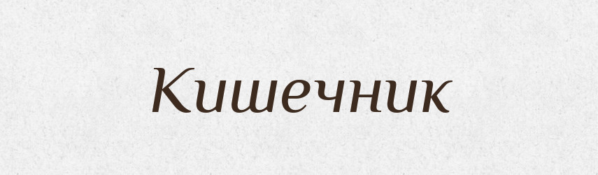 Кишечник — Російсько-український академічний словник (А–П)