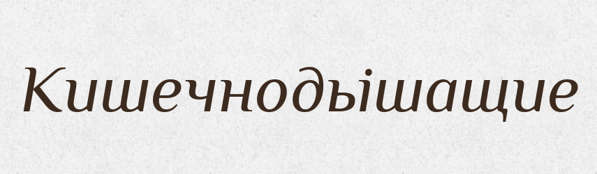Кишечнодьішащие — Російсько-український академічний словник (А–П)