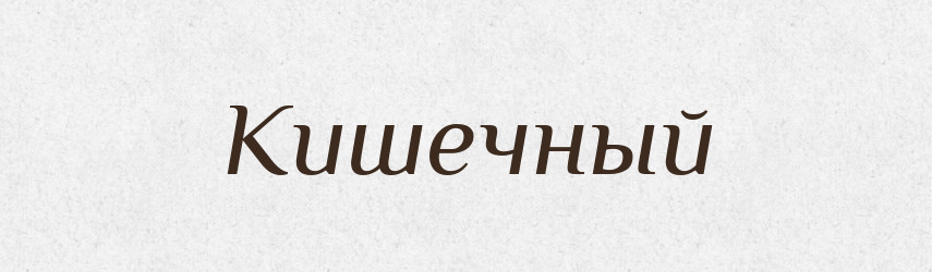 Кишечный — Російсько-український академічний словник (А–П)