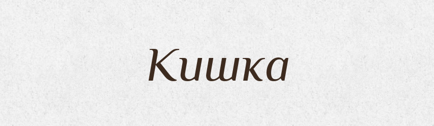 Кишка — Російсько-український академічний словник (А–П)
