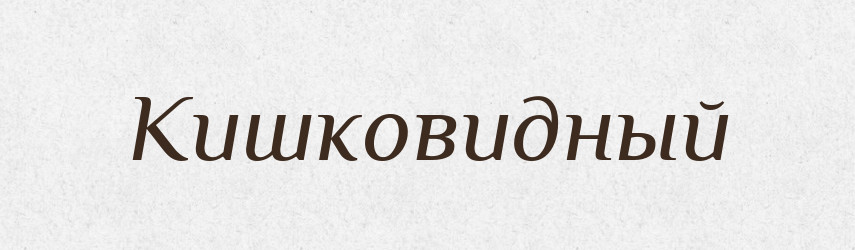 Кишковидный — Російсько-український академічний словник (А–П)