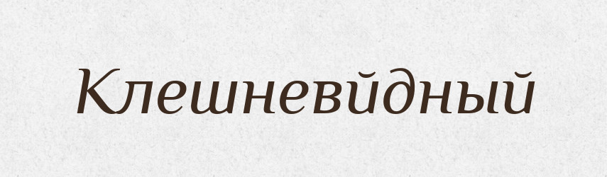 Клешневйдный — Російсько-український академічний словник (А–П)