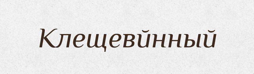 Клещевйнный — Російсько-український академічний словник (А–П)