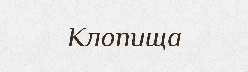 Клопища — Російсько-український академічний словник (А–П)