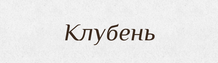 Клубень — Російсько-український академічний словник (А–П)