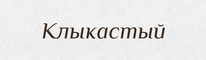 Клыкастый — Російсько-український академічний словник (А–П)