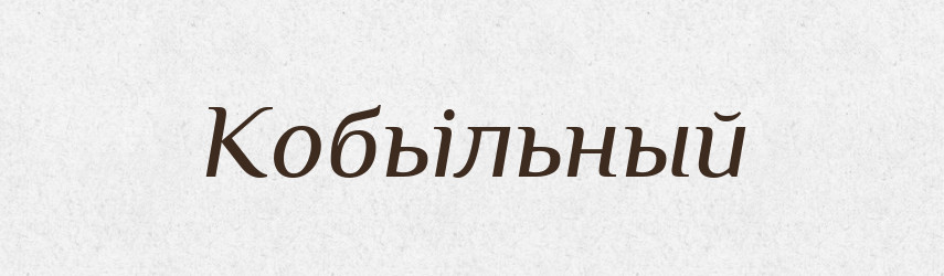 Кобьільный — Російсько-український академічний словник (А–П)
