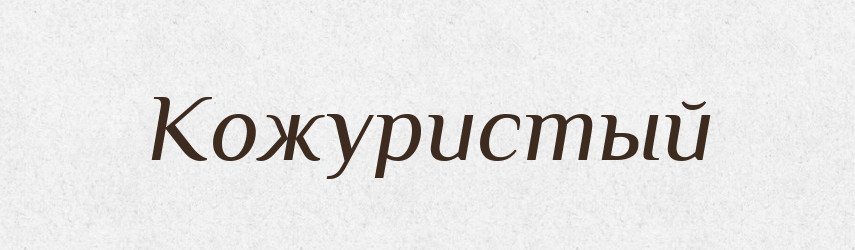 Кожуристый — Російсько-український академічний словник (А–П)