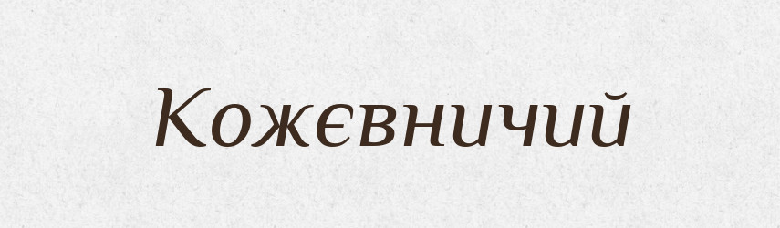 Кожєвничий — Російсько-український академічний словник (А–П)