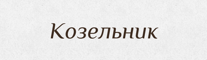 Козельник — Російсько-український академічний словник (А–П)