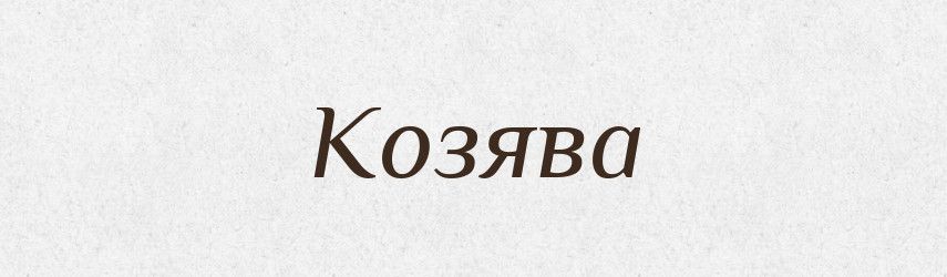 Козява — Російсько-український академічний словник (А–П)