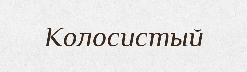 Колосистый — Російсько-український академічний словник (А–П)