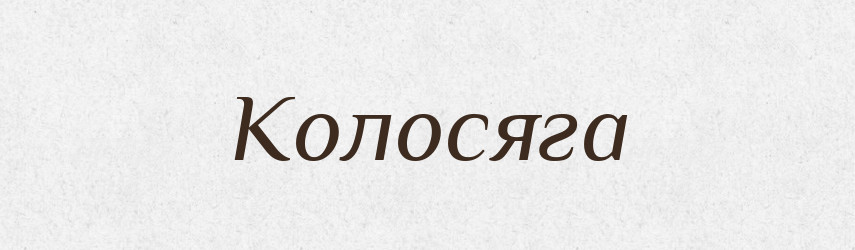 Колосяга — Російсько-український академічний словник (А–П)