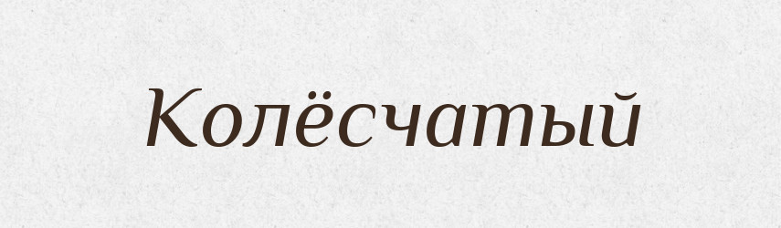 Колёсчатый — Російсько-український академічний словник (А–П)