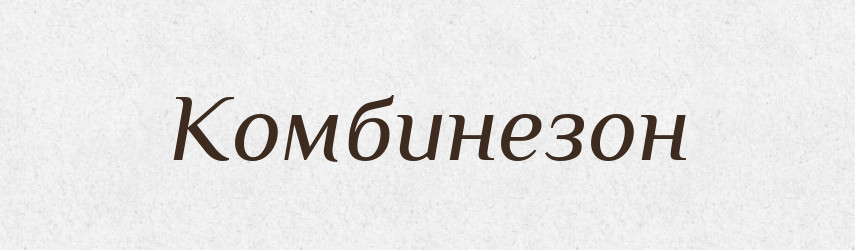 Комбинезон — Російсько-український академічний словник (А–П)