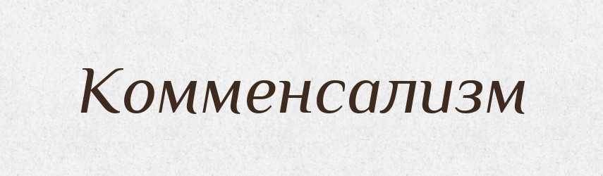 Комменсализм — Російсько-український академічний словник (А–П)