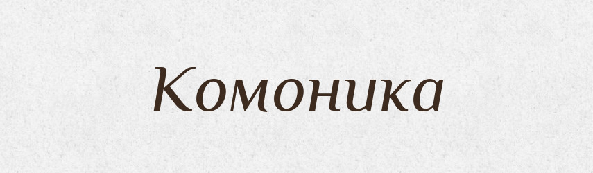 Комоника — Російсько-український академічний словник (А–П)
