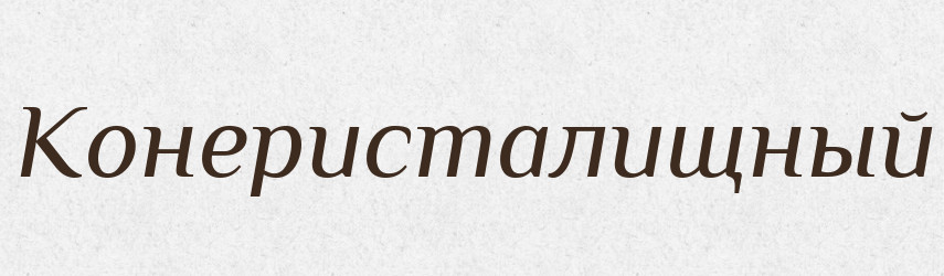 Конеристалищный — Російсько-український академічний словник (А–П)