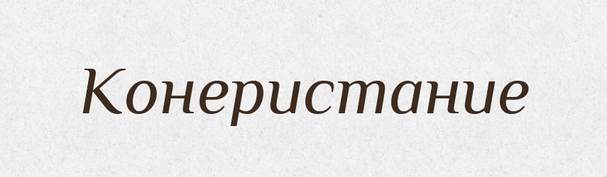 Конеристание — Російсько-український академічний словник (А–П)