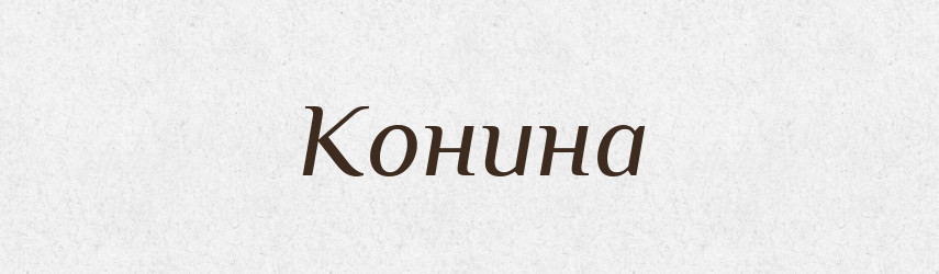 Конина — Російсько-український академічний словник (А–П)