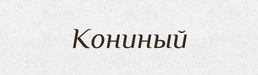 Кониный — Російсько-український академічний словник (А–П)