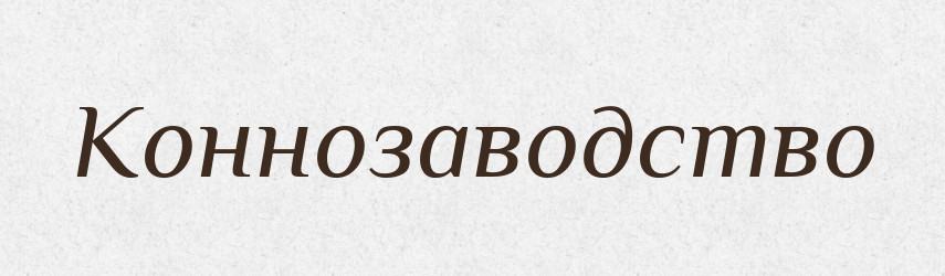 Коннозаводство — Російсько-український академічний словник (А–П)