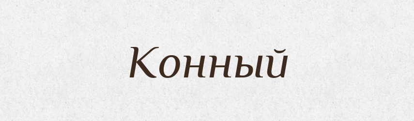 Конный — Російсько-український академічний словник (А–П)