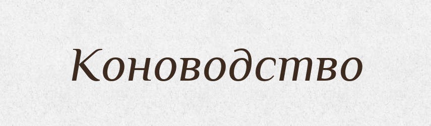 Коноводство — Російсько-український академічний словник (А–П)