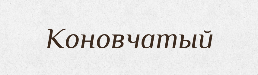 Коновчатый — Російсько-український академічний словник (А–П)
