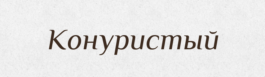 Конуристый — Російсько-український академічний словник (А–П)