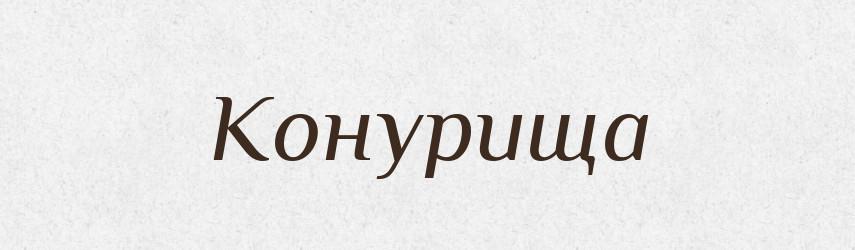 Конурища — Російсько-український академічний словник (А–П)