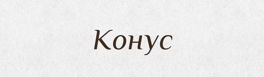 Конус — Російсько-український академічний словник (А–П)